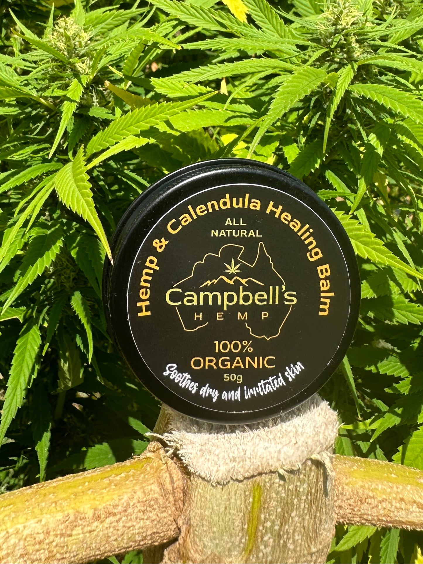 Campbell's Hemp - Hemp and Calendula Healing Balm tin displayed on a neutral background, accented with calendula petals and hemp leaves to emphasize its natural, soothing ingredients and handcrafted quality.