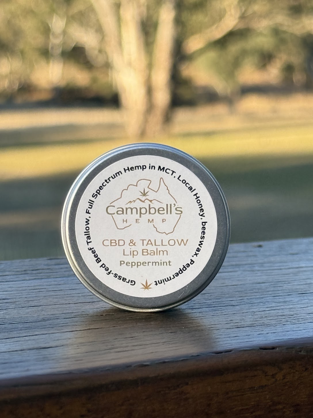 Campbell's Hemp CBD & Tallow Lip Balm container on a wooden surface.