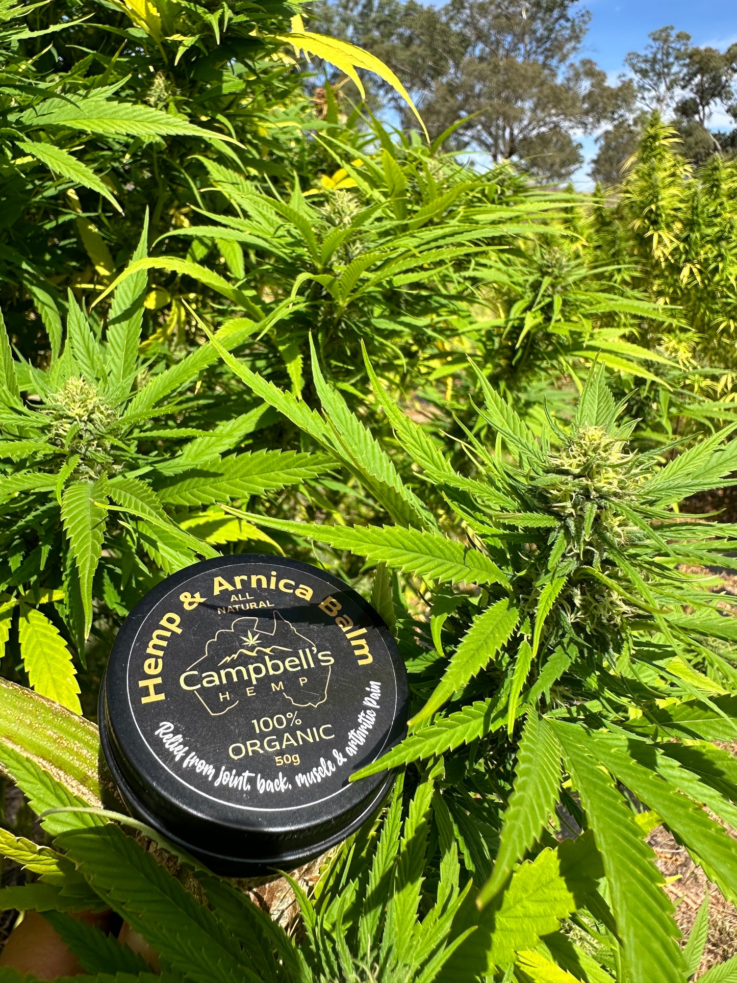 Hemp & Arnica Balm for Joints/muscle pain relief