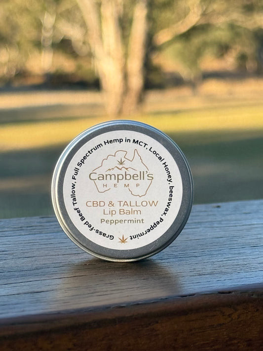 Campbell's Hemp CBD & Tallow Lip Balm container on a wooden surface.