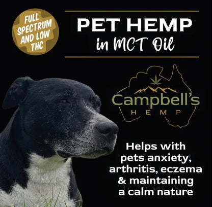 Calm dog resting after using CBD oil for anxiety relief and stress support