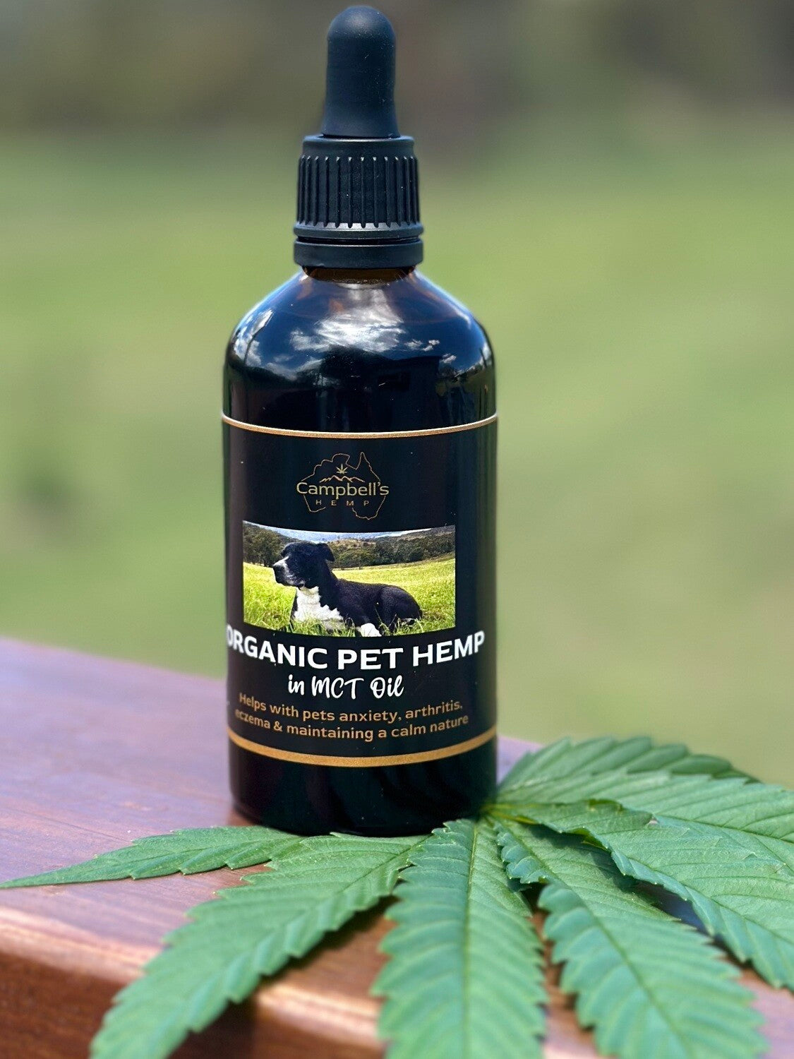 100ml bottle of Campbell’s Pet Hemp Oil, natural supplement for pet wellness, photographed on a wooden surface with natural lighting.